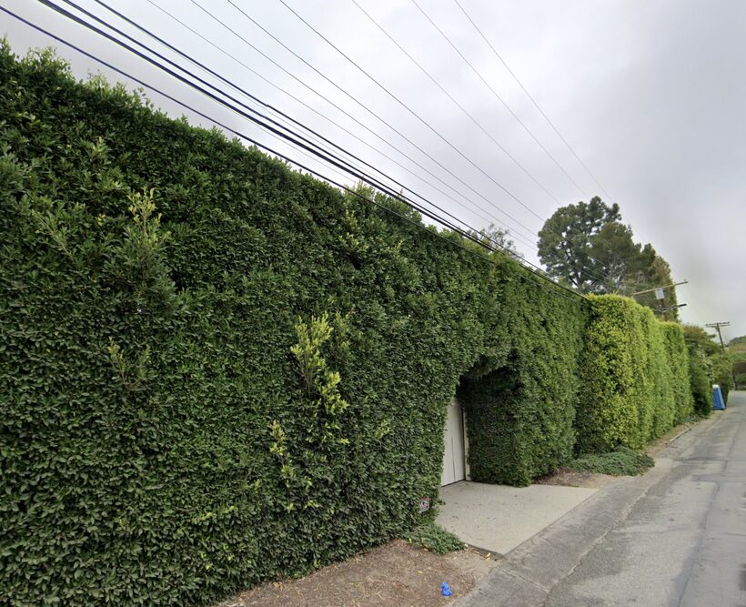 Dave Keuning Jim Carrey House Los Angeles Brentwood